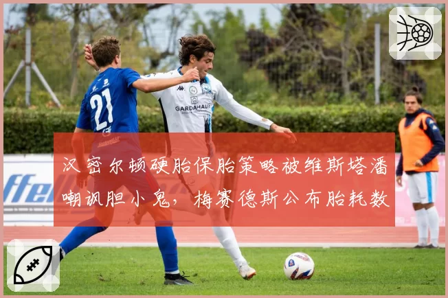 汉密尔顿硬胎保胎策略被维斯塔潘嘲讽胆小鬼,梅赛德斯公布胎耗数据反唇相讥