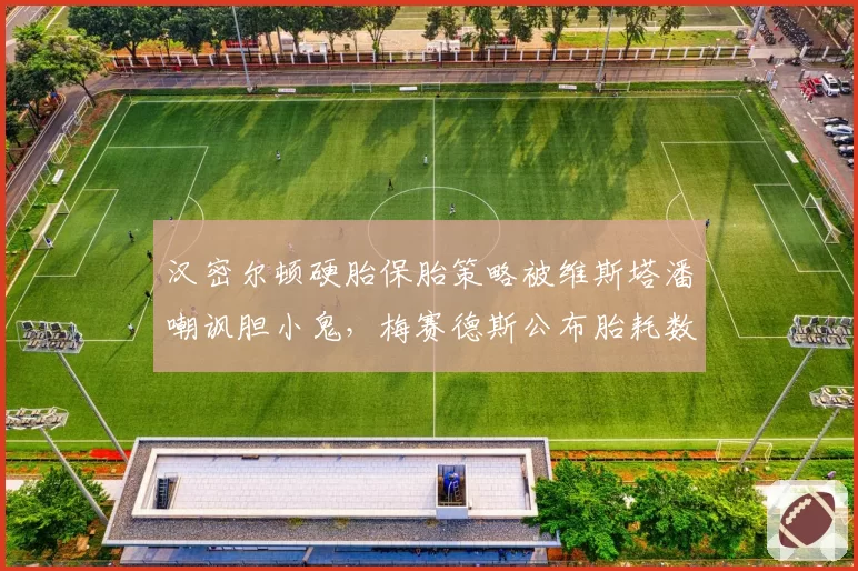 汉密尔顿硬胎保胎策略被维斯塔潘嘲讽胆小鬼,梅赛德斯公布胎耗数据反唇相讥